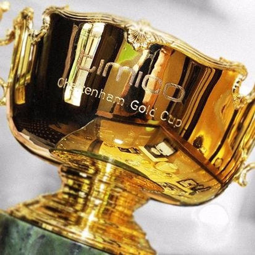 Timico Cheltenham Gold Cup