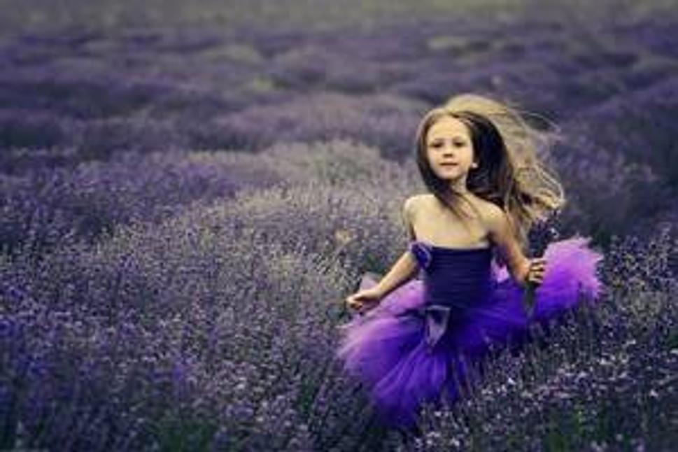 purple summer