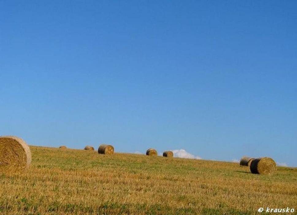 Obrázok blogu