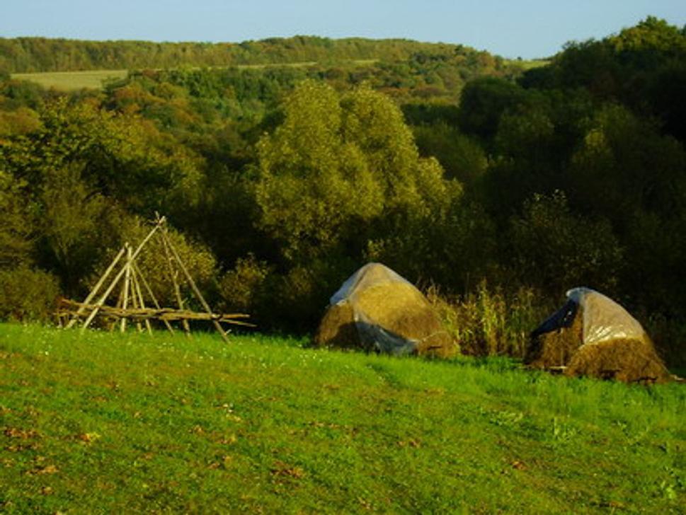 Obrázok blogu