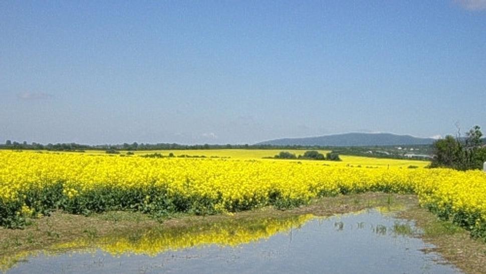 Obrázok blogu