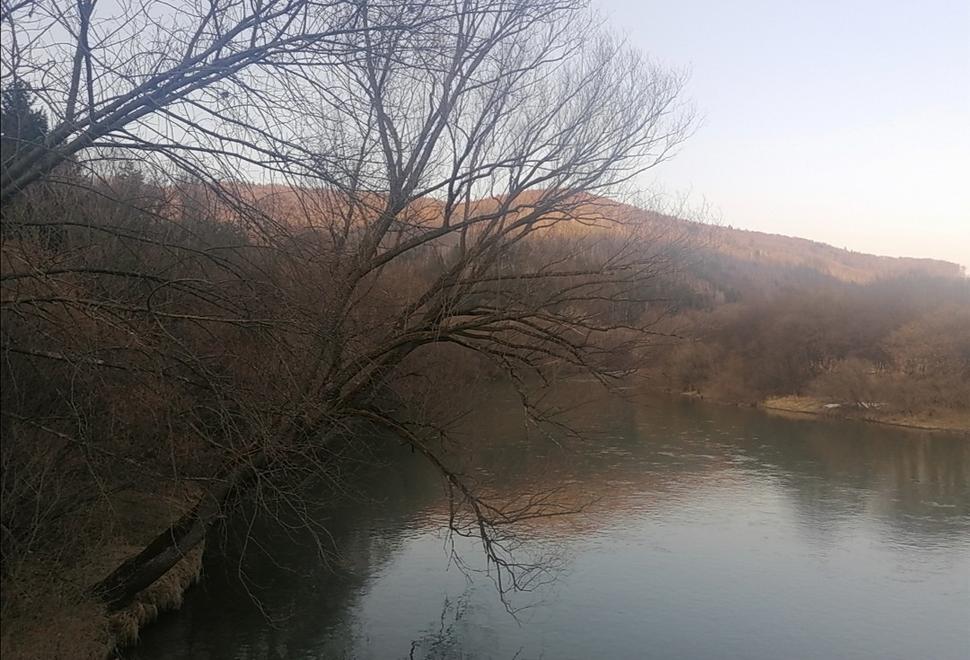 za chvíľu bude svadba s Váhom