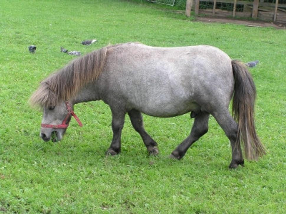 Obrázok blogu