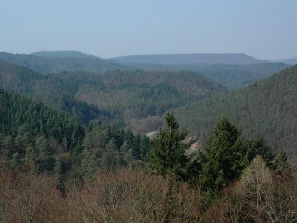 Obrázok blogu