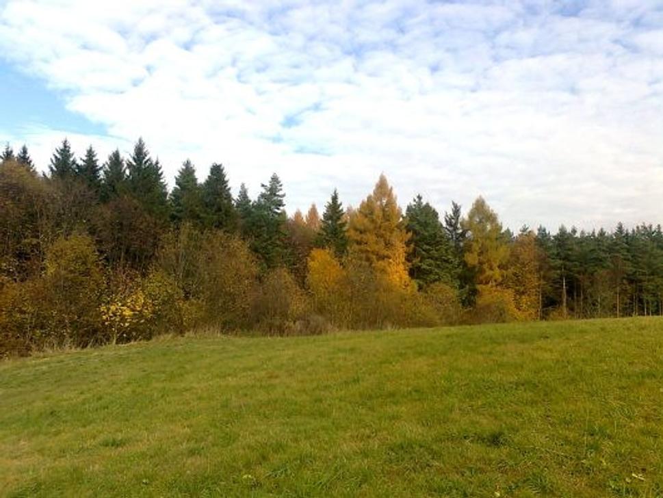 Obrázok blogu