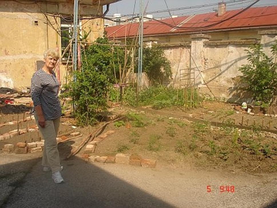 Obrázok blogu