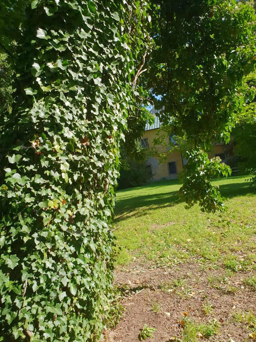Napriek jesene chrumkavá zeleň.
