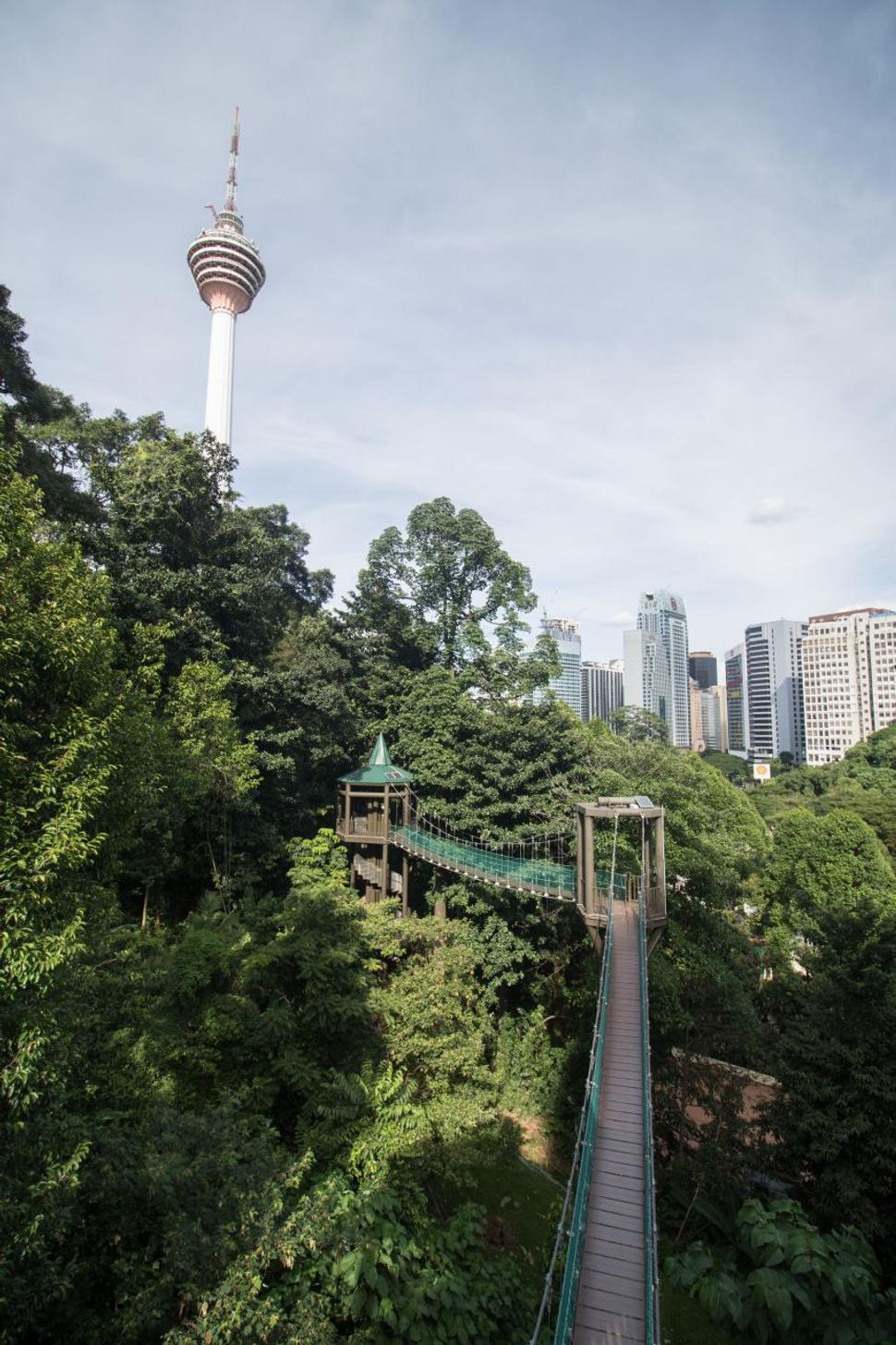 KL Forest Eco Park sa oplatí navštíviť, je to doslova prales v centre mesta a nechýbajú tam ani makaky!