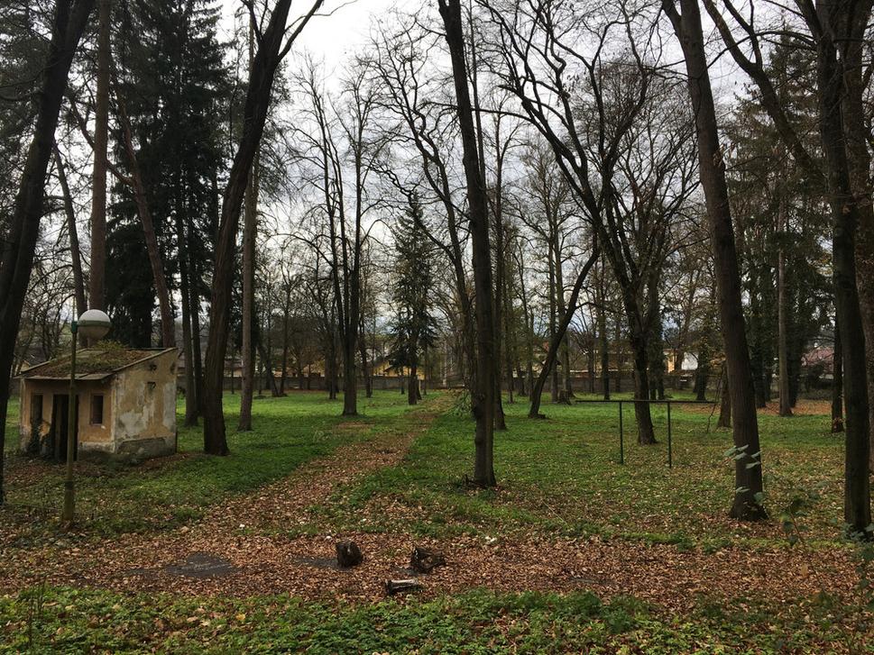 Obrázok blogu