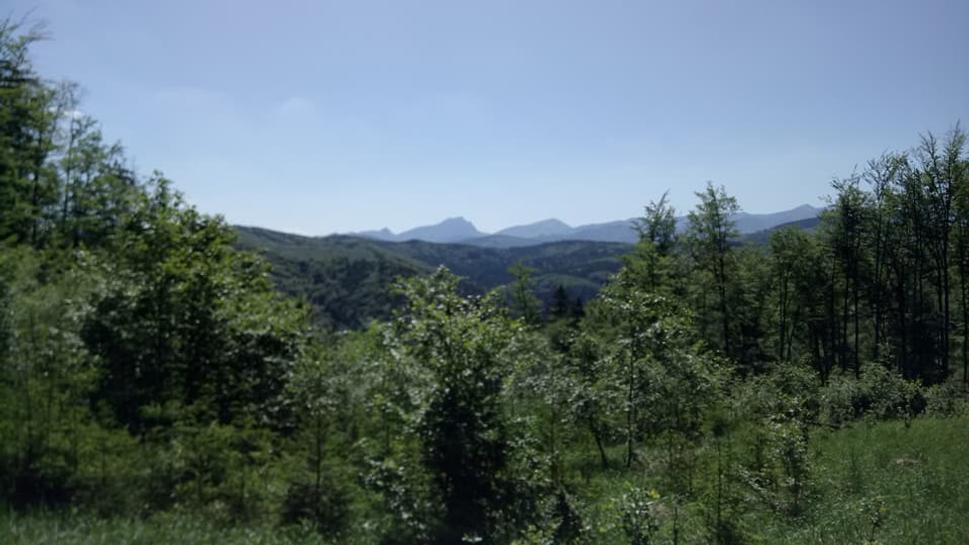 Rozsutec a Stoh v diaľke