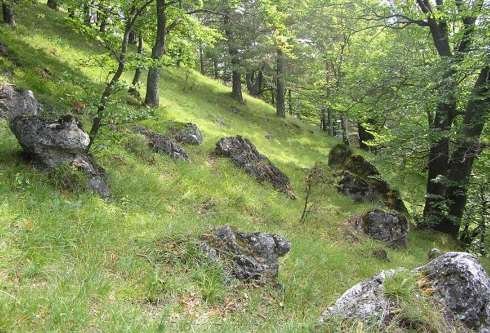 Obrázok blogu