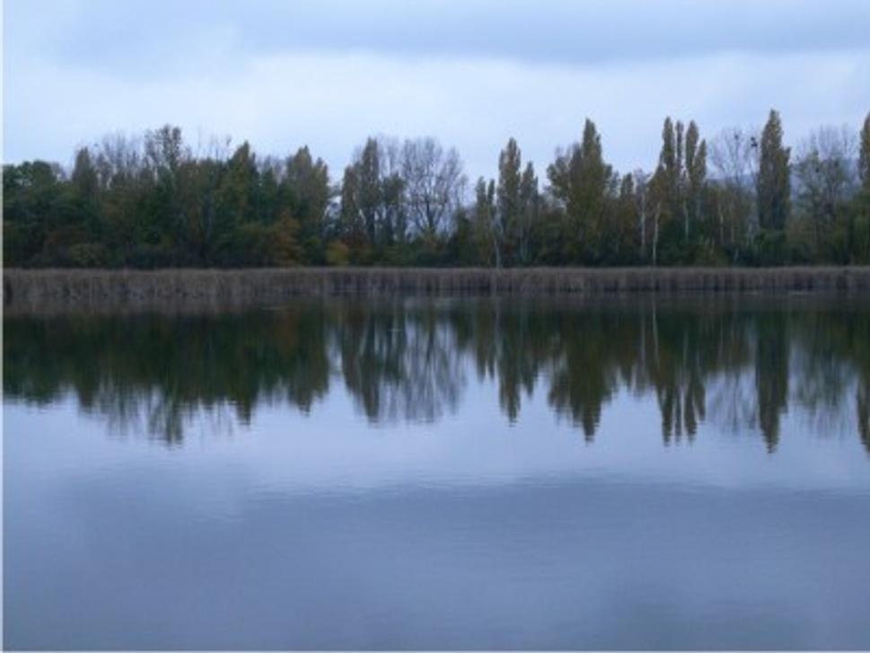 Obrázok blogu
