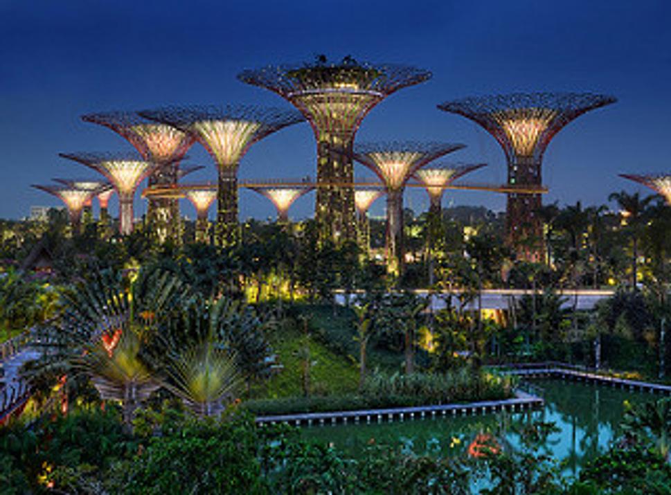 Gardens by the Bay