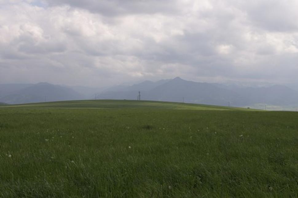 Obrázok blogu