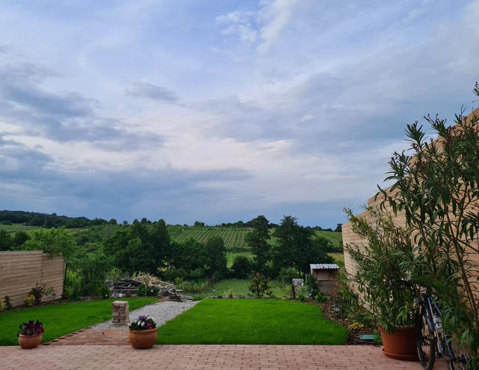 Hrozno dozrieva. Budúca sezóna je pred nami.
