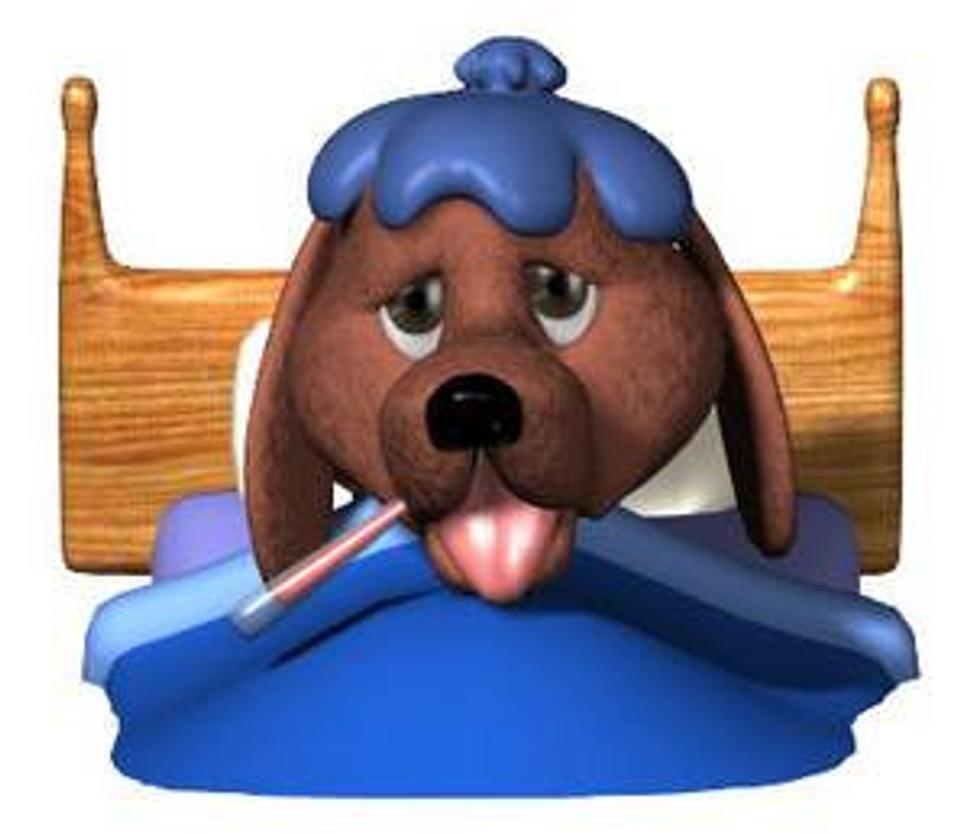 Obrázok blogu