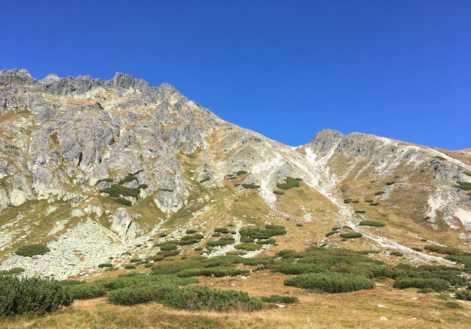 Škutnastá poľana je ďalším miestom vhodným na odpočinok. (foto MTECPRO)