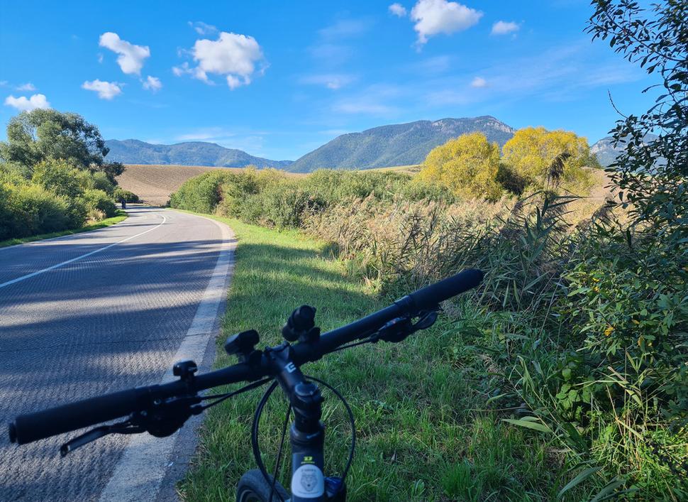 Vlk - ochranca. Patrón môjho bicykla.
