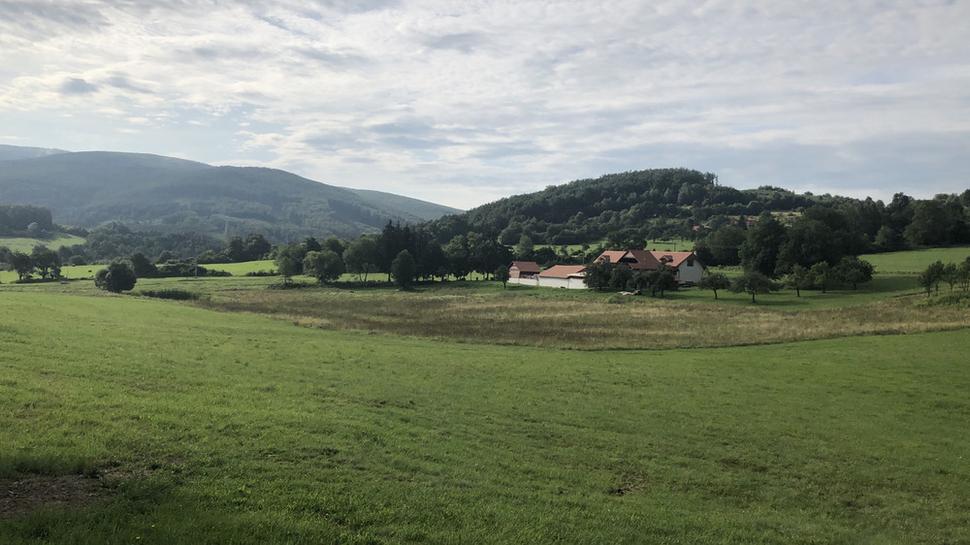 Zaježová