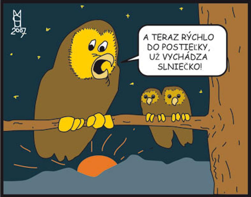 Obrázok blogu