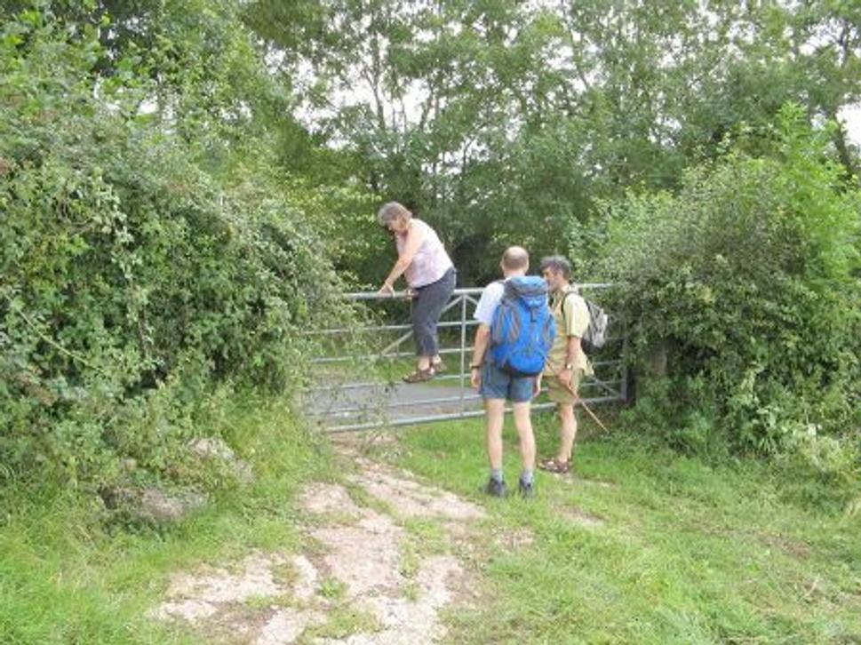 gate