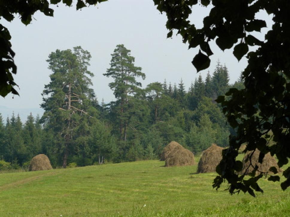 Obrázok blogu
