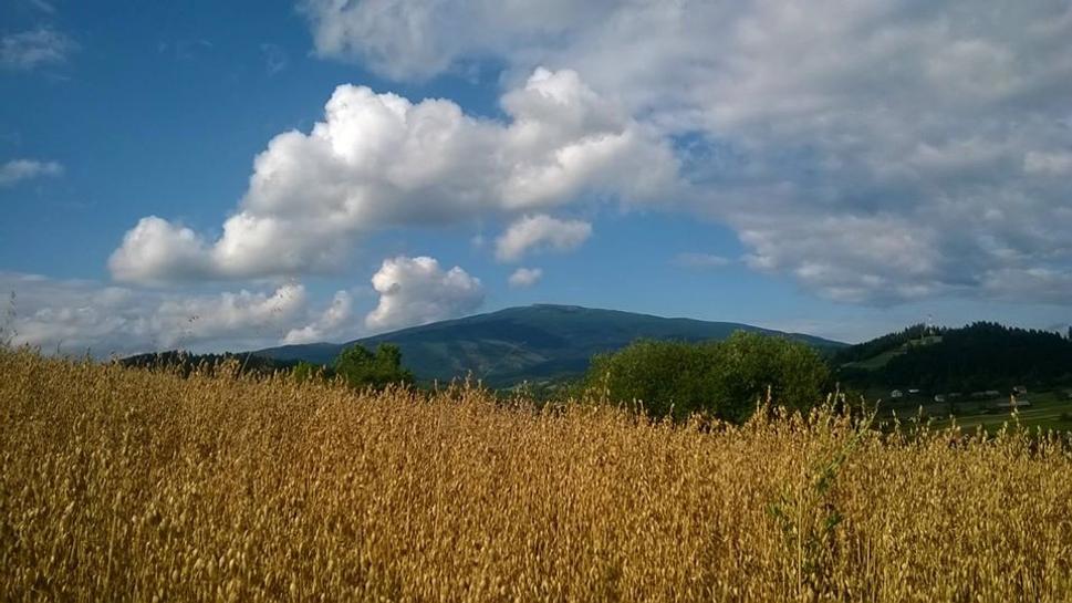 Babia hora v lete.
