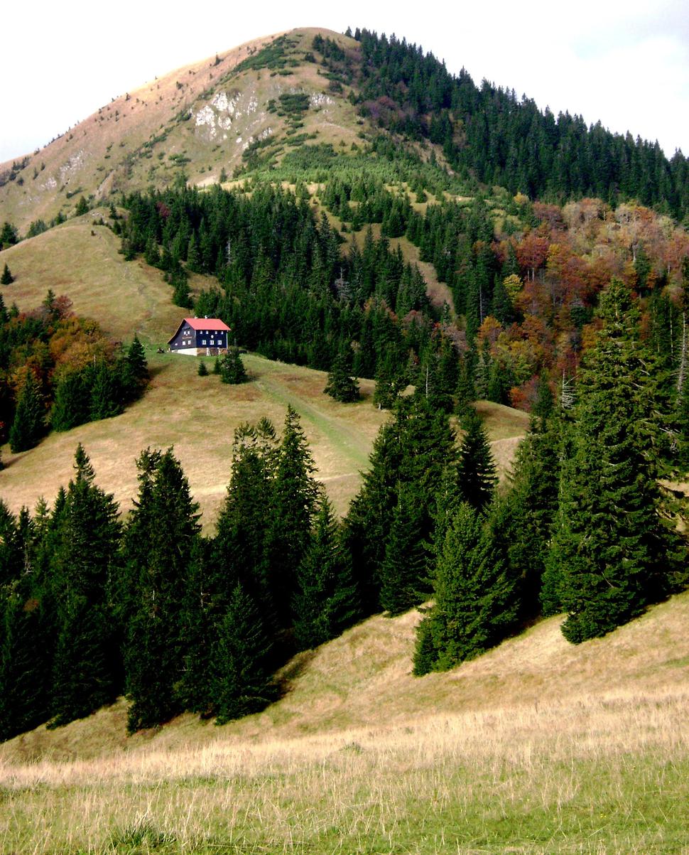 Obrázok blogu