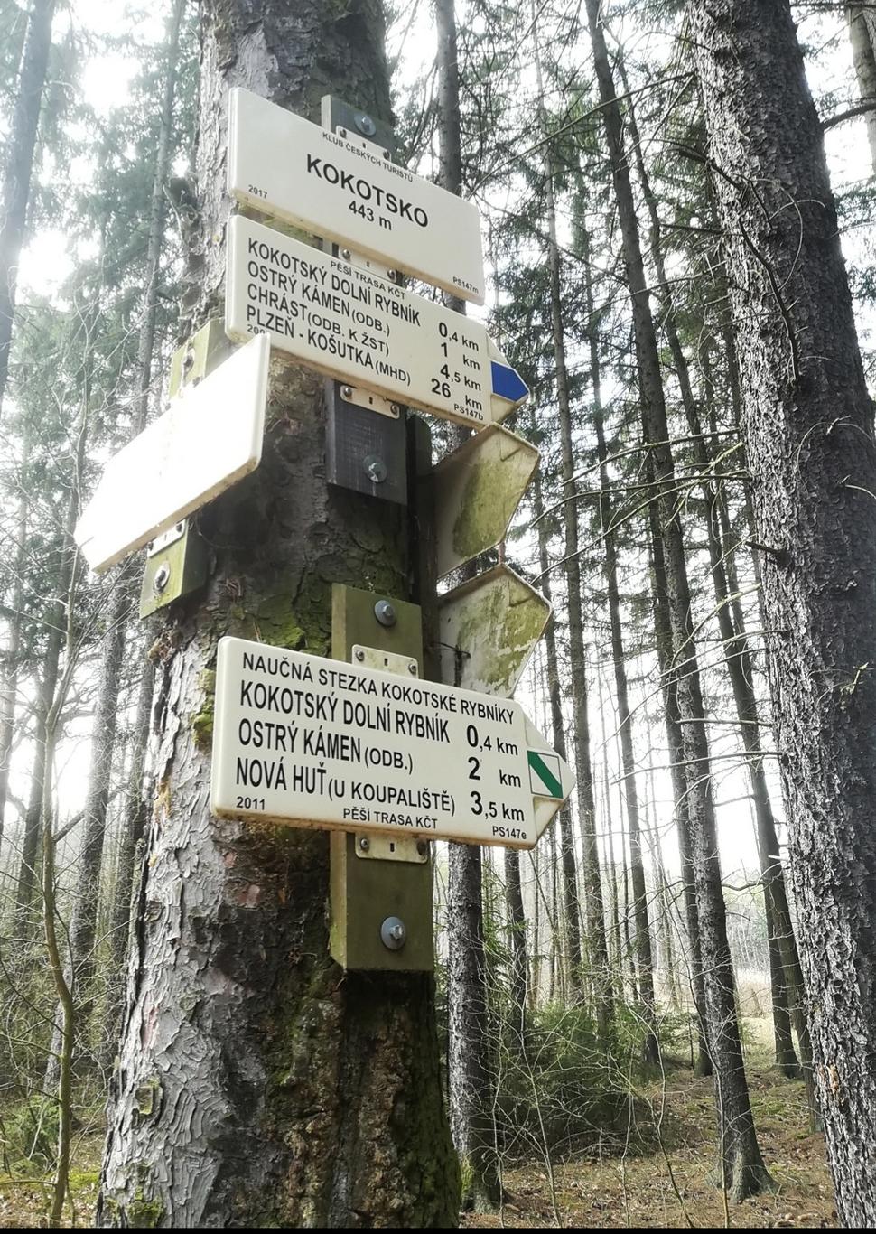 Vrch Kokotsko