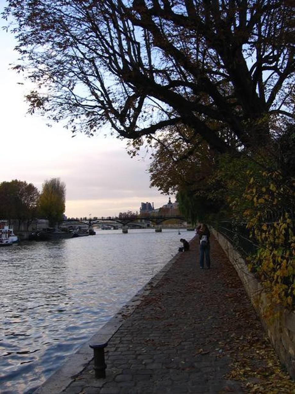Seine