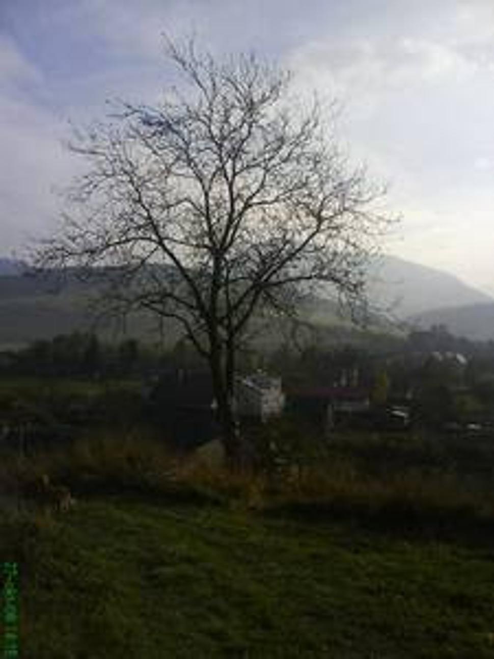 Obrázok blogu