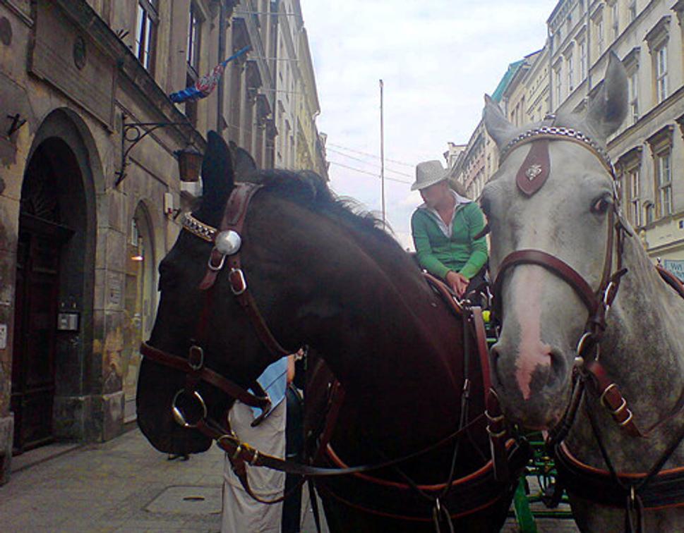 Obrázok blogu