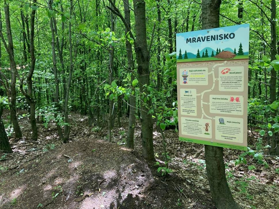 Nesmierne dôležité eko náučné chodníky v okolí Hrešnej