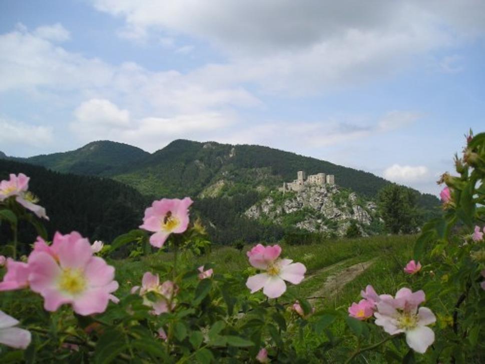 hrad_strecno_kvet