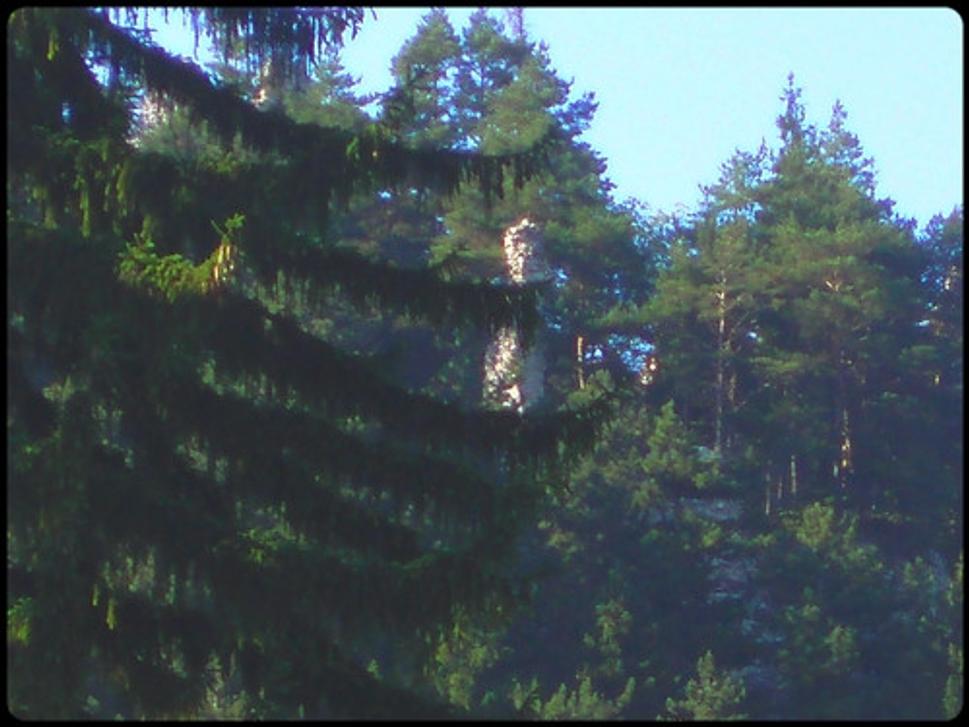 Obrázok blogu