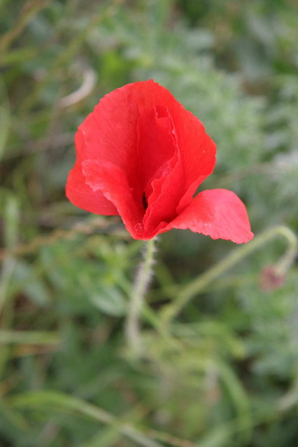 Obrázok blogu