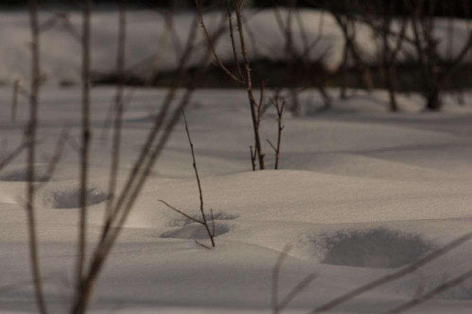 február 2009