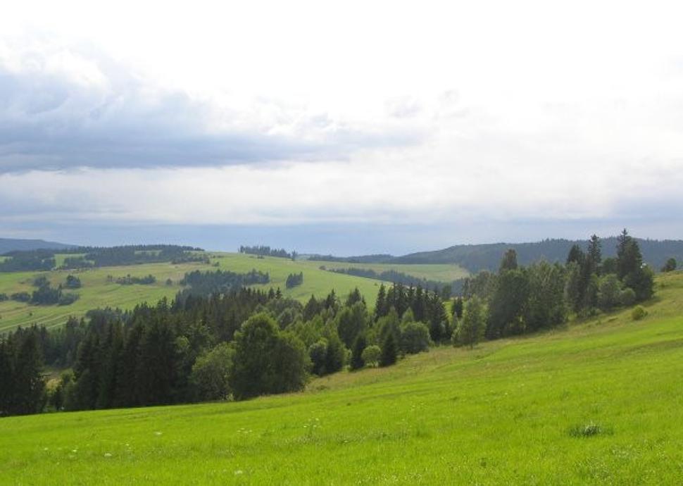 Obrázok blogu