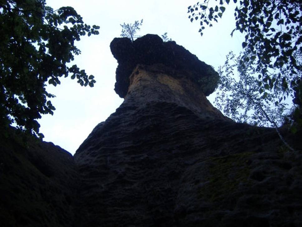 Obrázok blogu