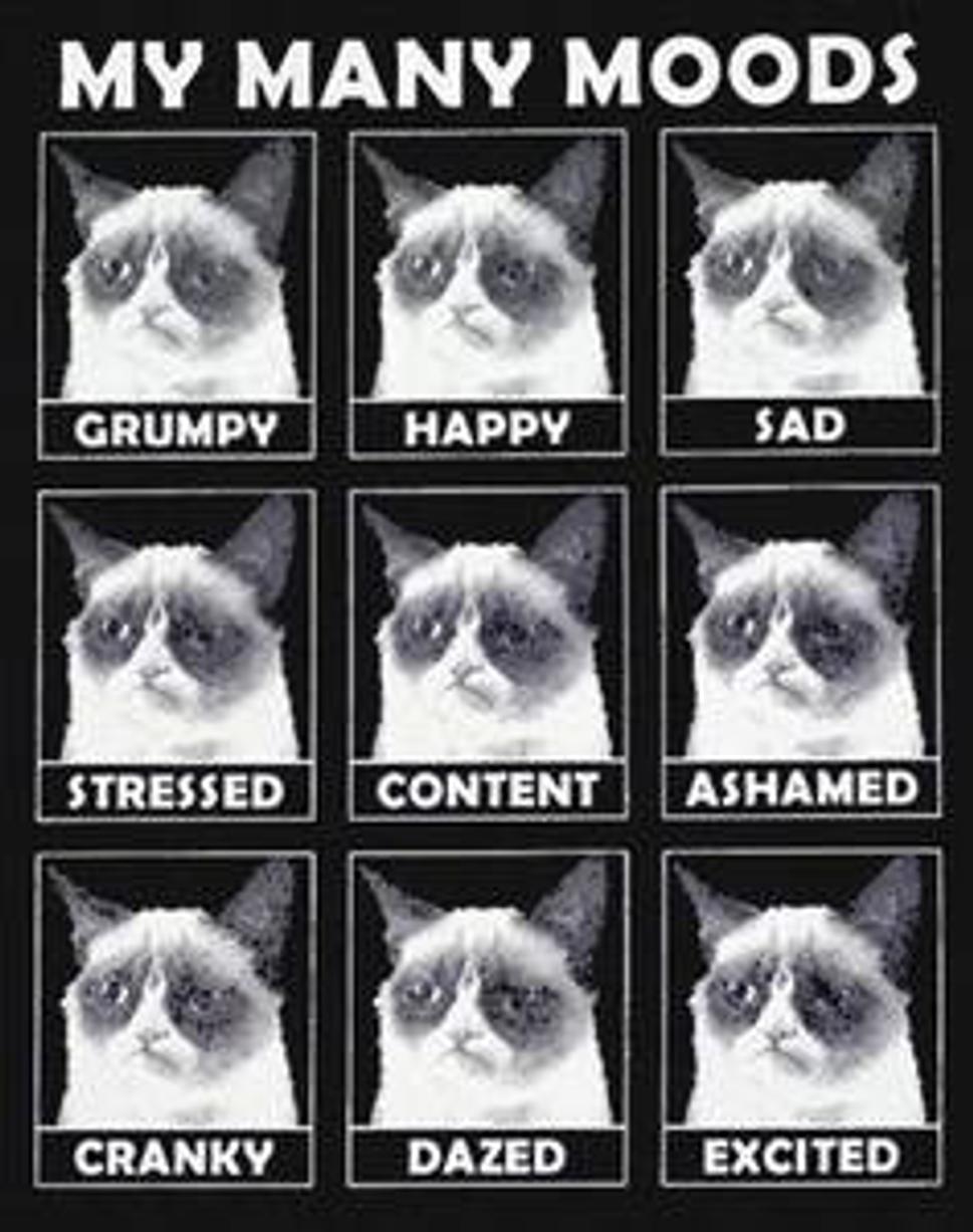 Mnohoraké nálady Tardar Sauce alias Grumpy cat