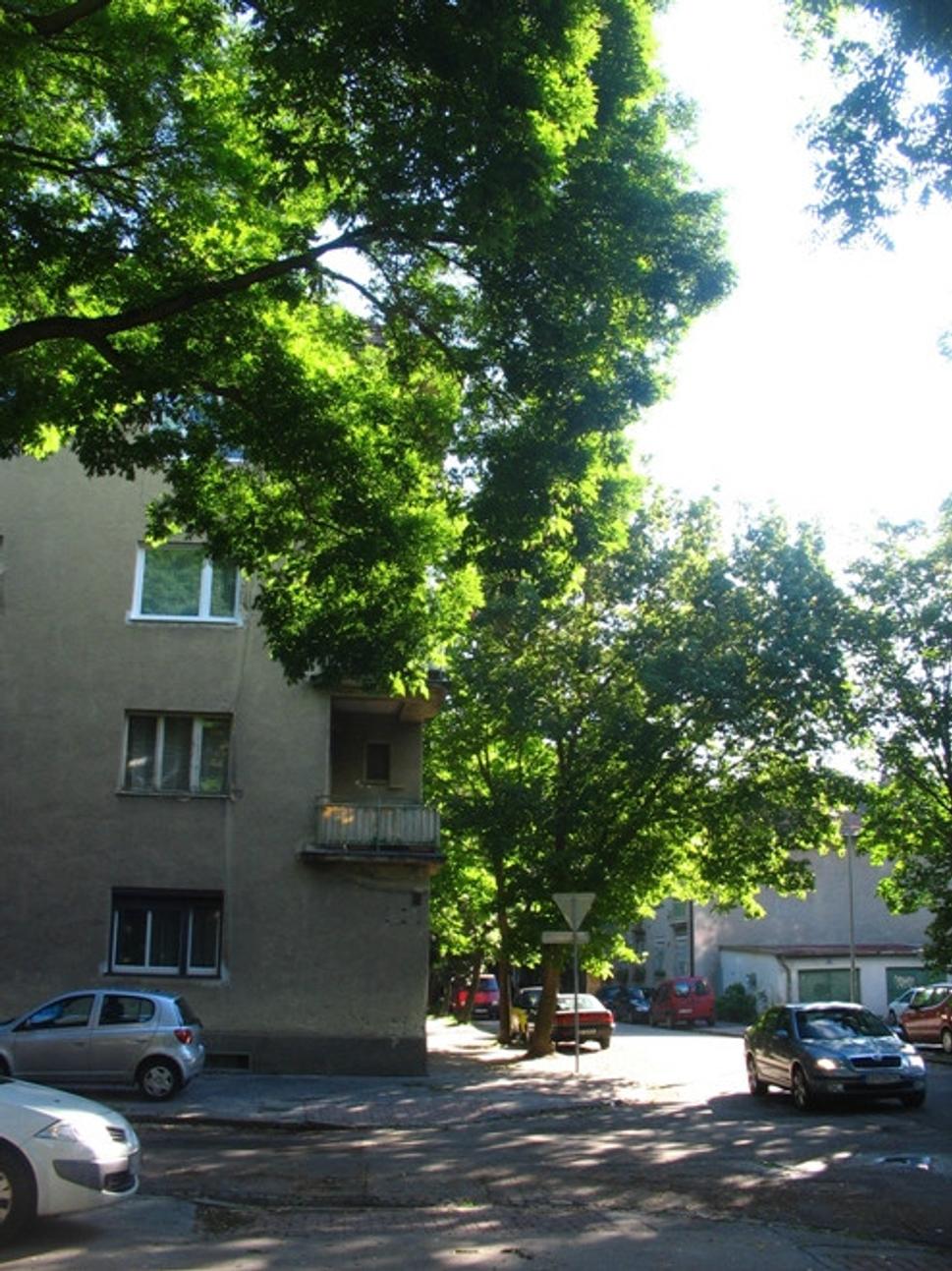 Obrázok blogu