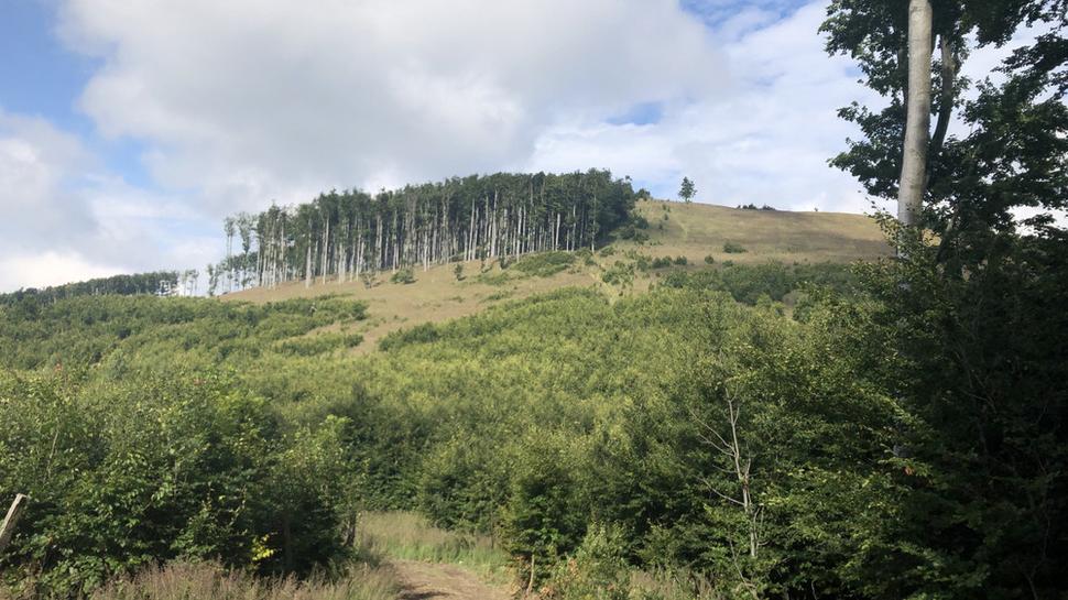 Sklanatá (Malé Karpaty)