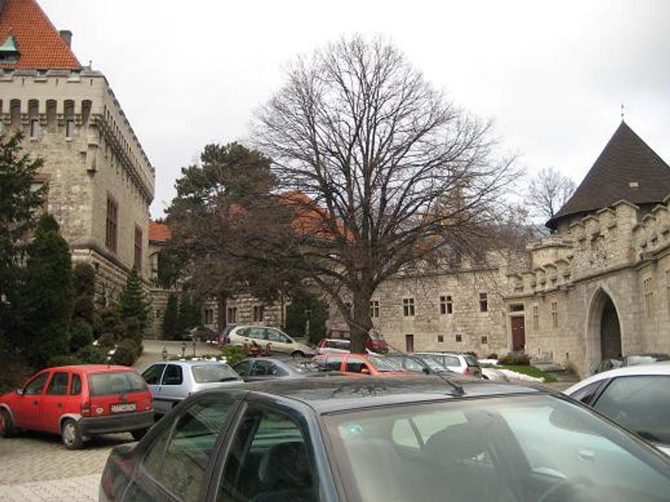 Obrázok blogu