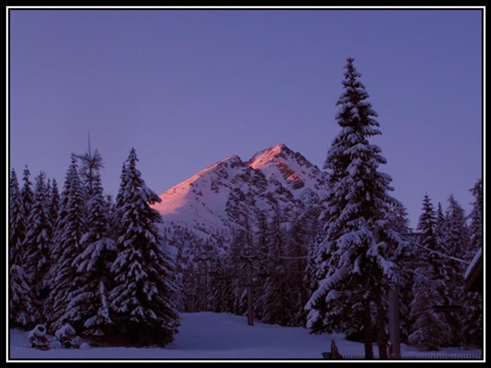 Solisko