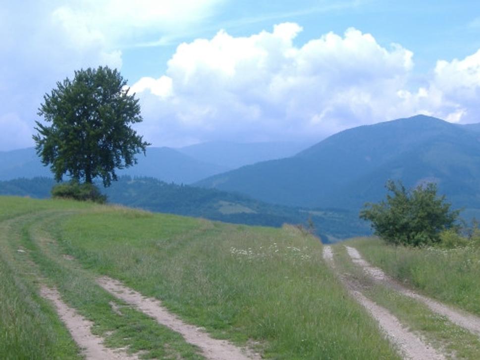 Obrázok blogu