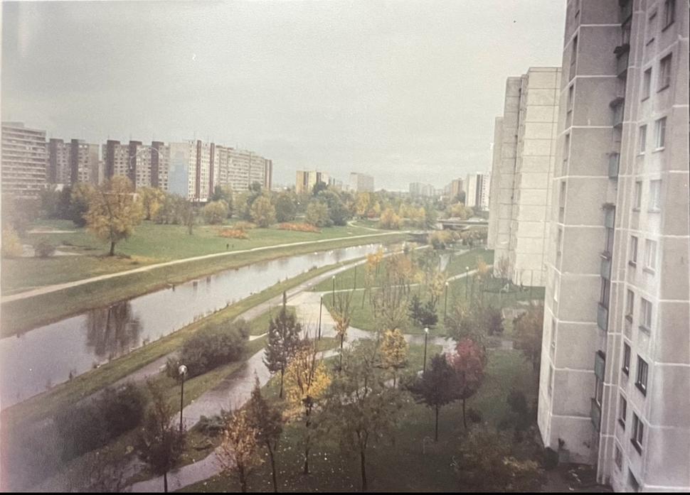 Takýto bol pohľad z nášho okna pred rokmi. Stromy medzi domami.