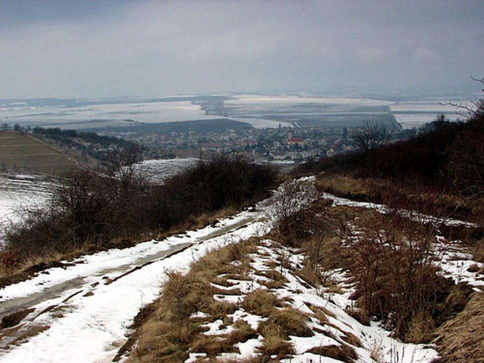Obrázok blogu