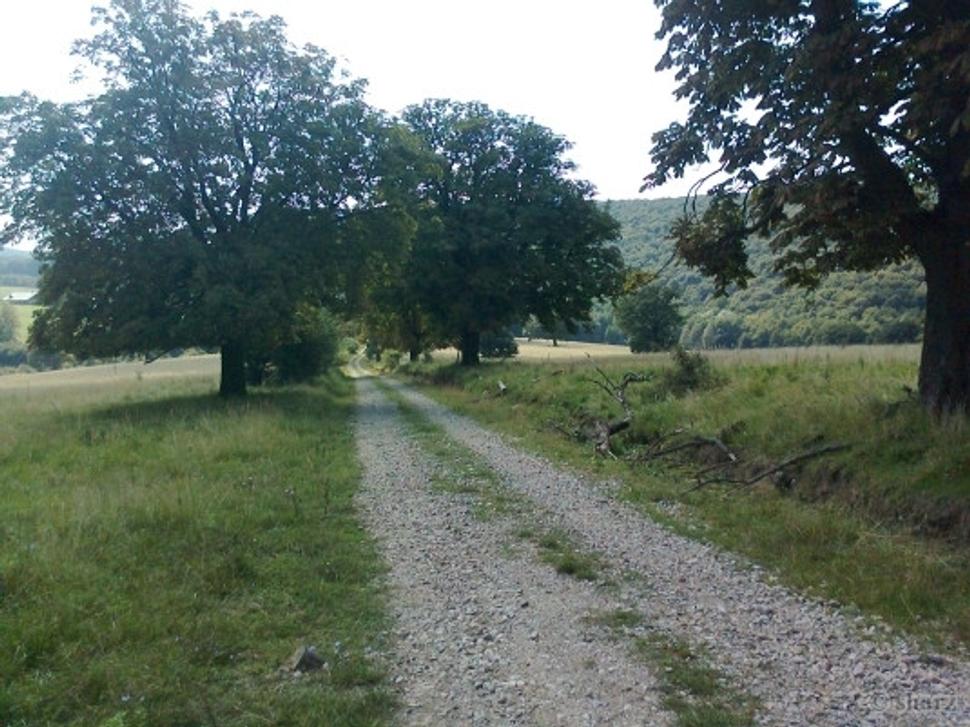 Obrázok blogu