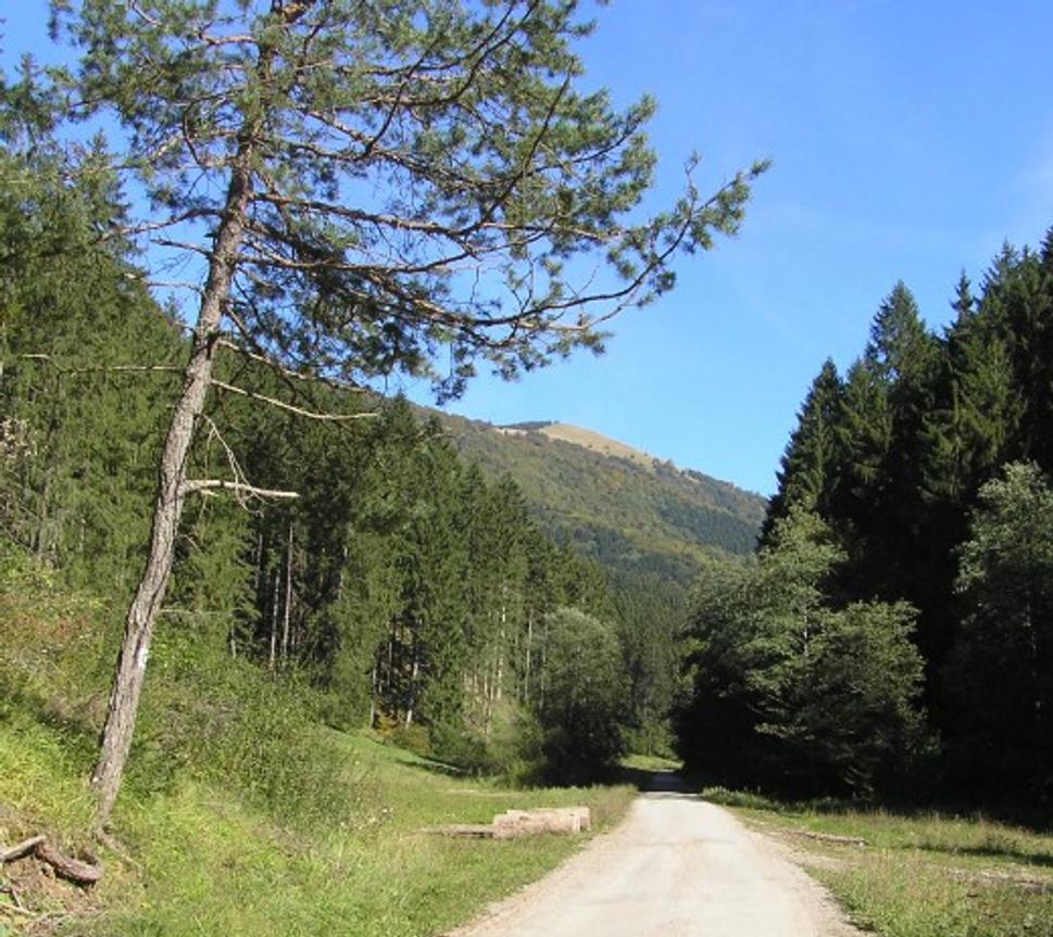 Obrázok blogu