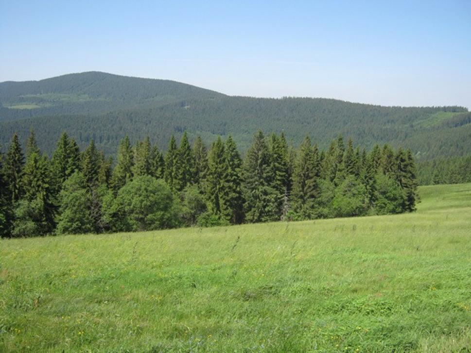 Obrázok blogu
